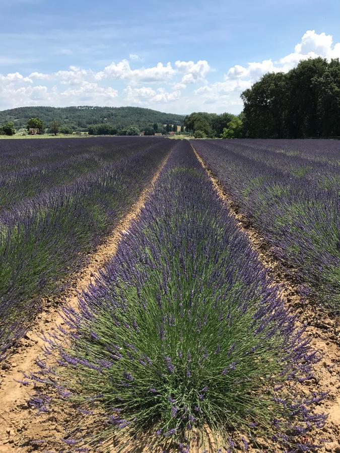 Les Sables D'Ocre & Spa Roussillon en Isere Exterior foto